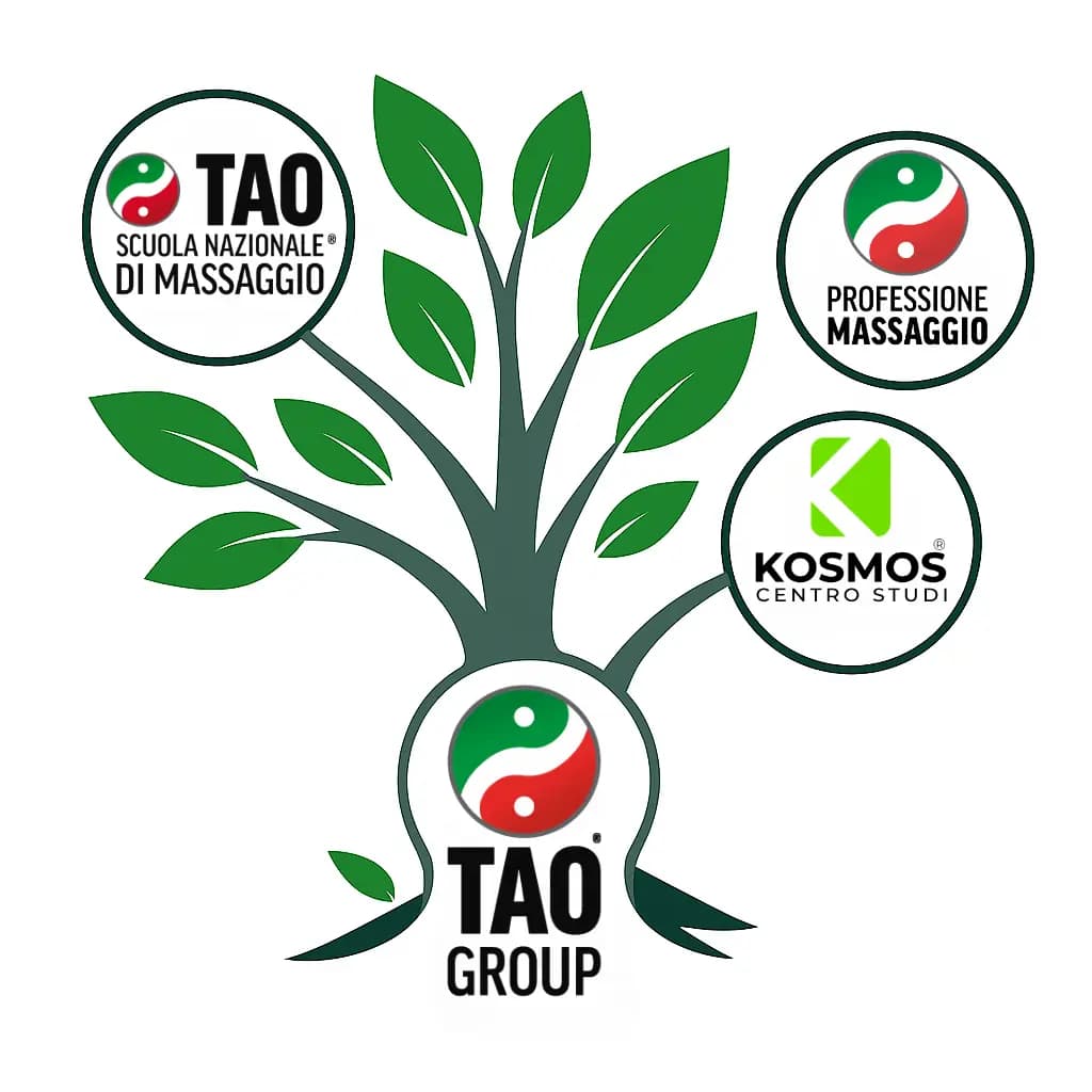 organigramma tao group